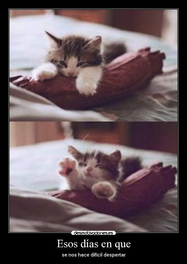 Esos días en que - se nos hace difícil despertar