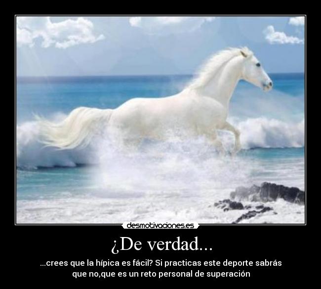¿De verdad... - ...crees que la hípica es fácil? Si practicas este deporte sabrás
que no,que es un reto personal de superación