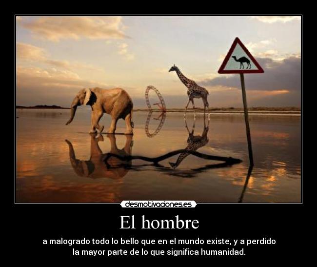El hombre - a malogrado todo lo bello que en el mundo existe, y a perdido
la mayor parte de lo que significa humanidad.