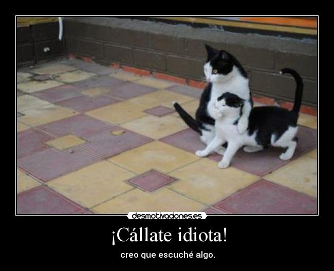 ¡Cállate idiota! -