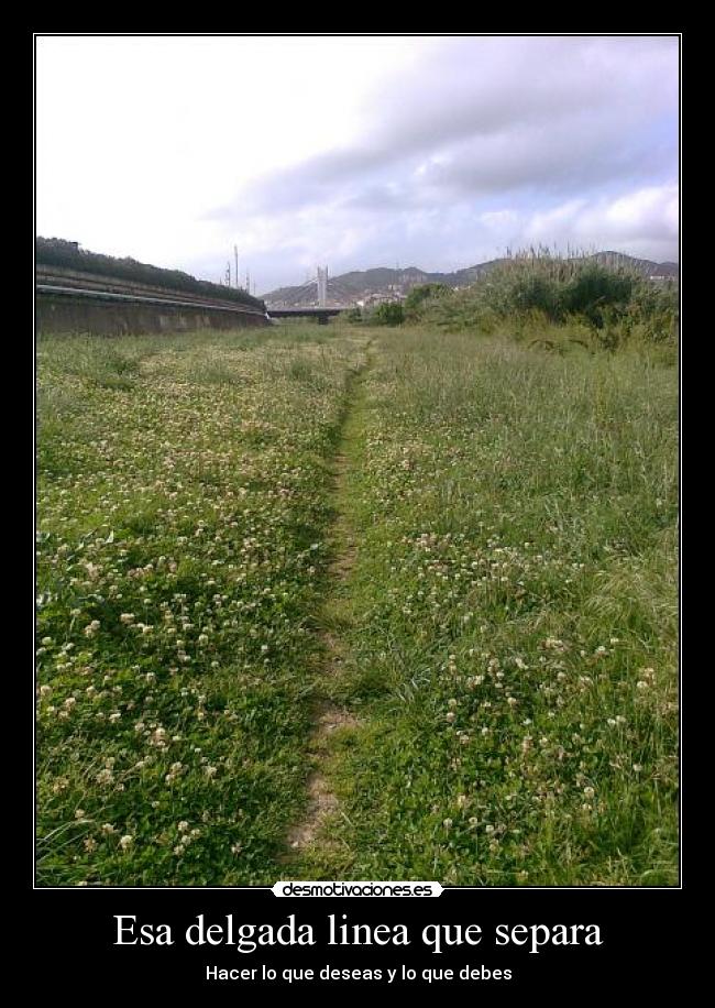 Esa delgada linea que separa -