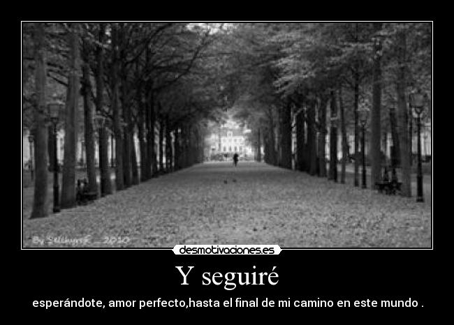 Y seguiré - esperándote, amor perfecto,hasta el final de mi camino en este mundo .