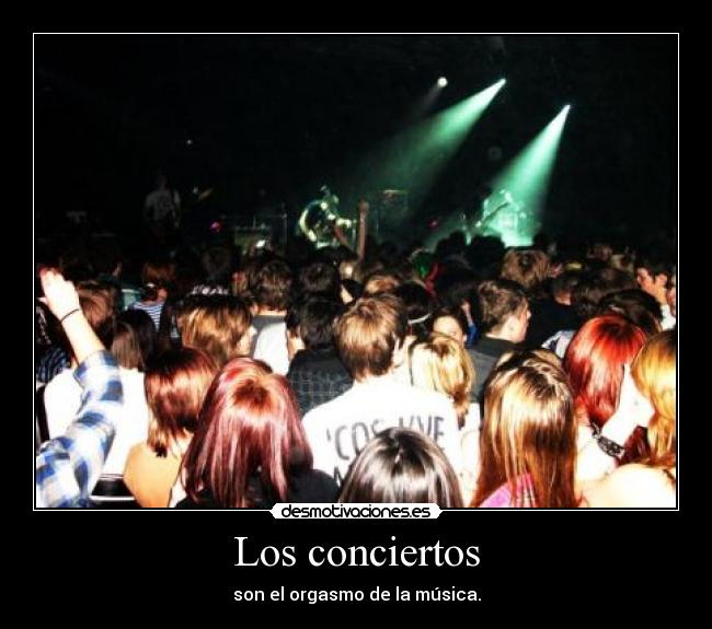 Los conciertos - son el orgasmo de la música.