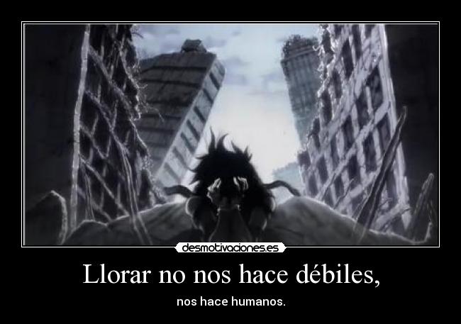 carteles llorar hellsing desmotivaciones
