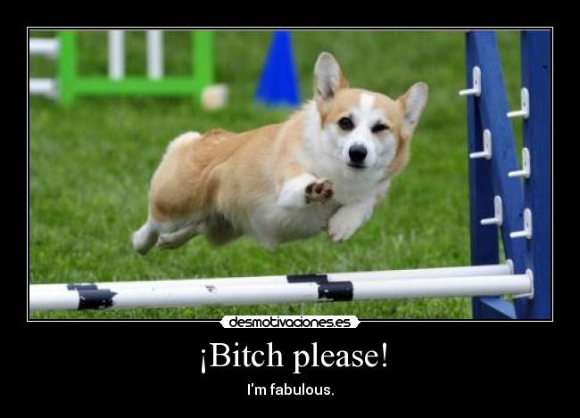 ¡Bitch please! - Im fabulous.