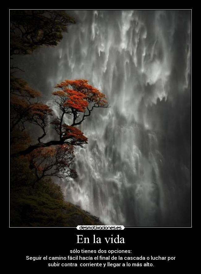 En la vida - sólo tienes dos opciones:
Seguir el camino fácil hacía el final de la cascada o luchar por
subir contra  corriente y llegar a lo más alto.