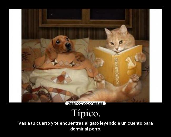 Típico. -