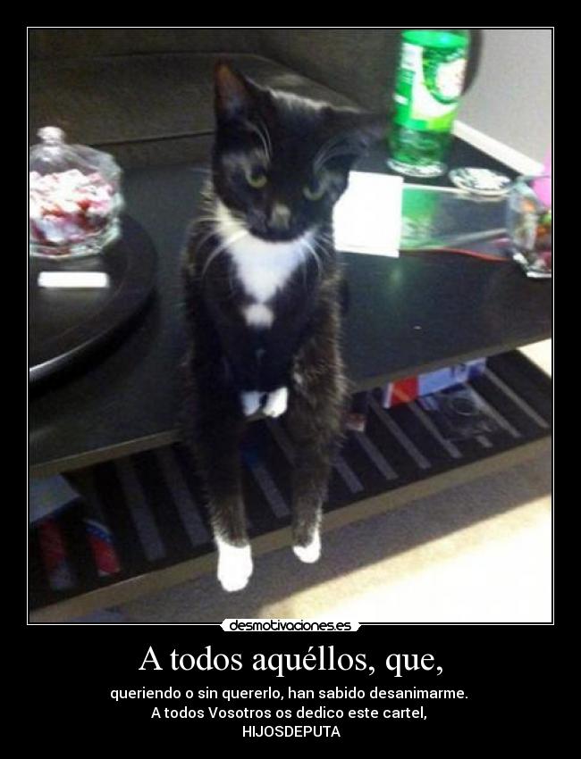 A todos aquéllos, que, -