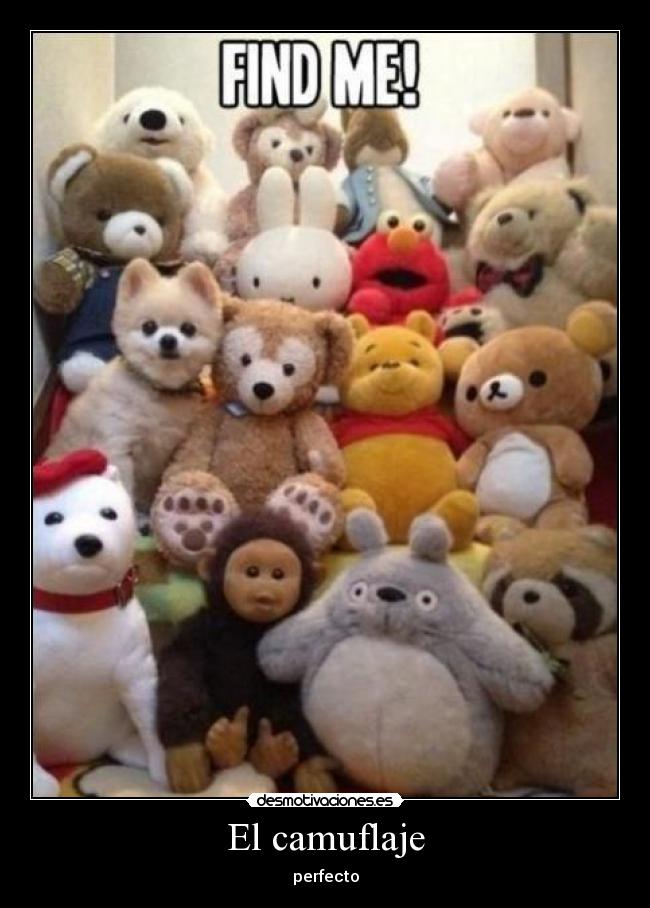 El camuflaje -