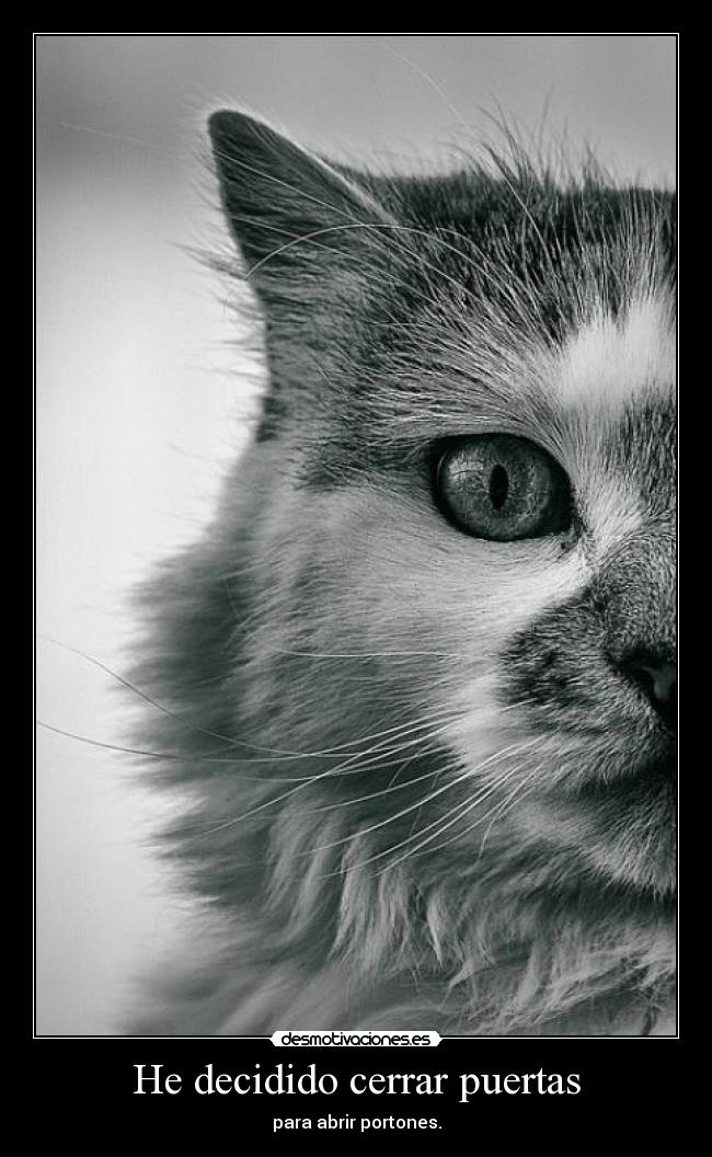He decidido cerrar puertas - para abrir portones.