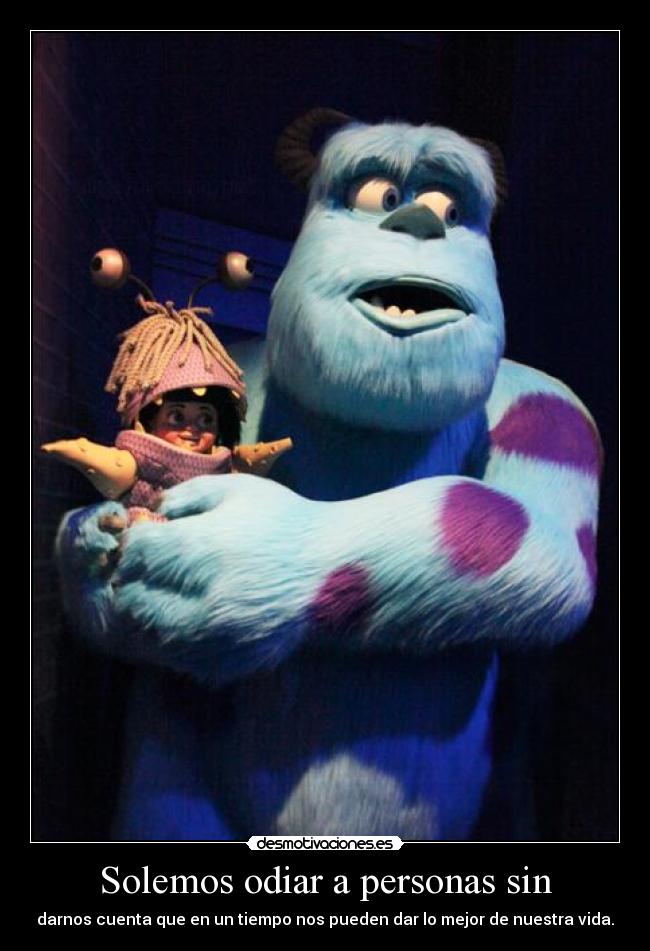 Solemos odiar a personas sin - 