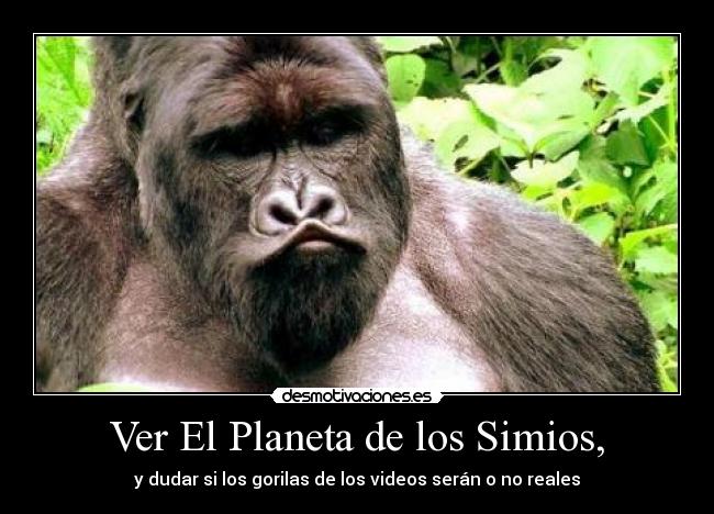 Ver El Planeta de los Simios, - y dudar si los gorilas de los videos serán o no reales