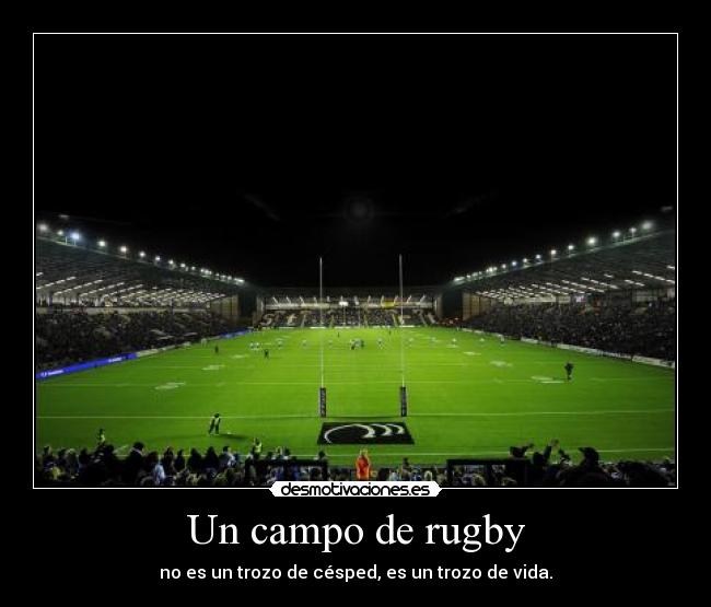 Un campo de rugby -