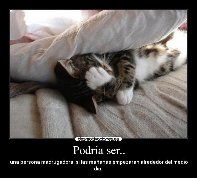 Podría ser.. - una persona madrugadora, si las mañanas empezaran alrededor del medio día..