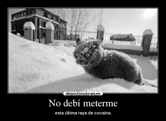 No debí meterme - 