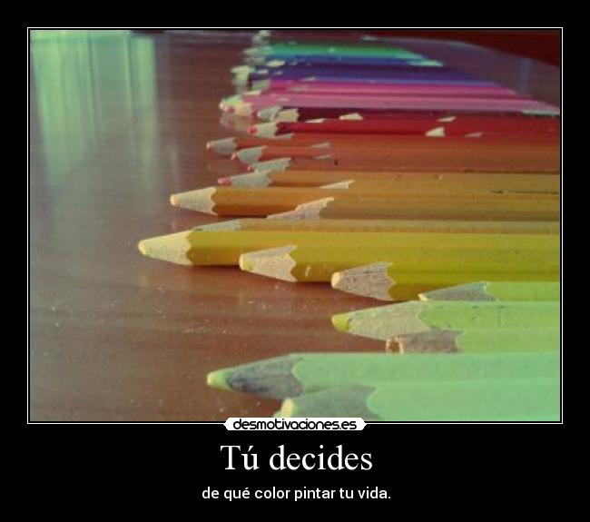 Tú decides - 