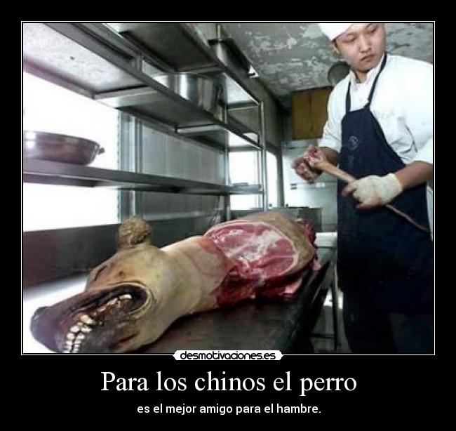 Para los chinos el perro -