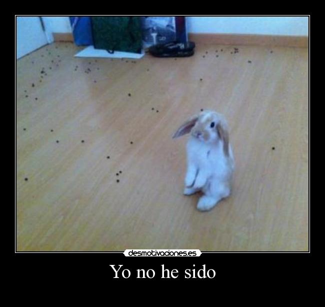 Yo no he sido -