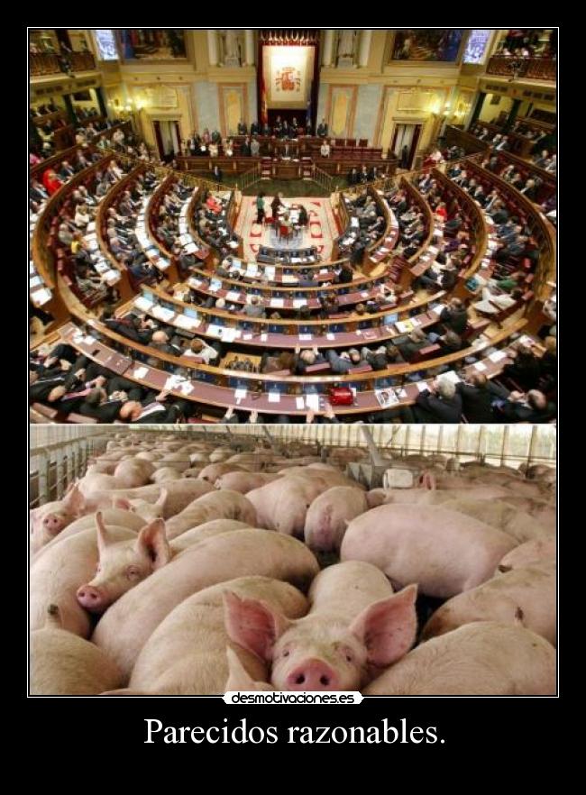 Parecidos razonables. - 