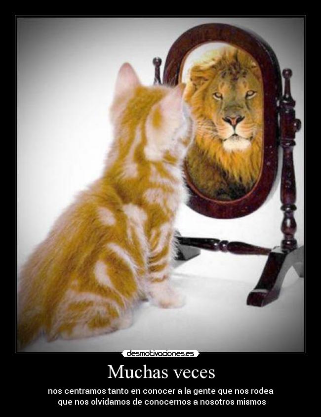 Muchas veces - nos centramos tanto en conocer a la gente que nos rodea
que nos olvidamos de conocernos a nosotros mismos
