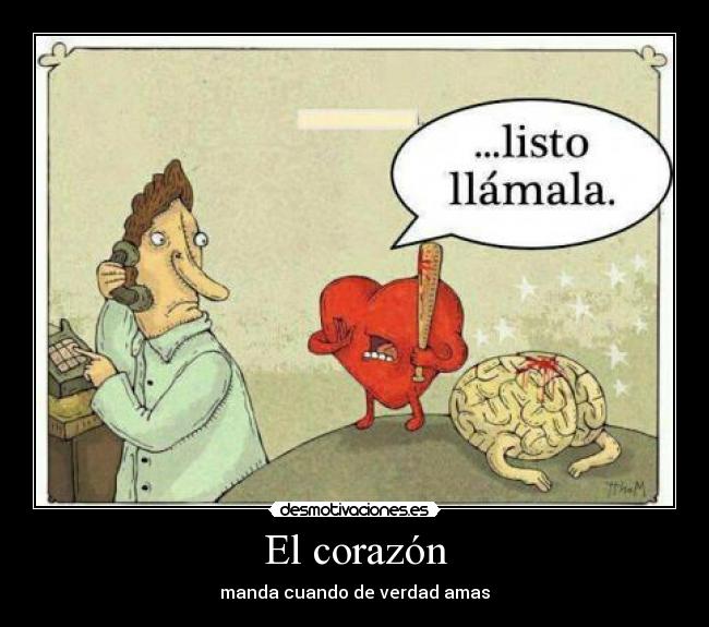 El corazón -