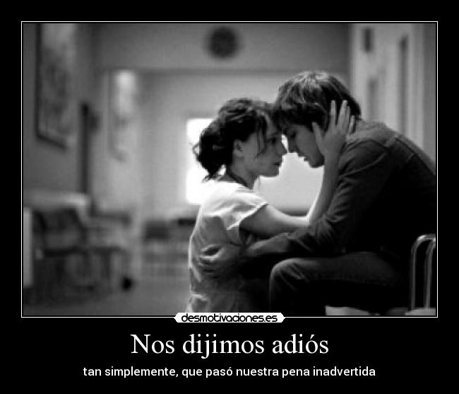Nos dijimos adiós - tan simplemente, que pasó nuestra pena inadvertida