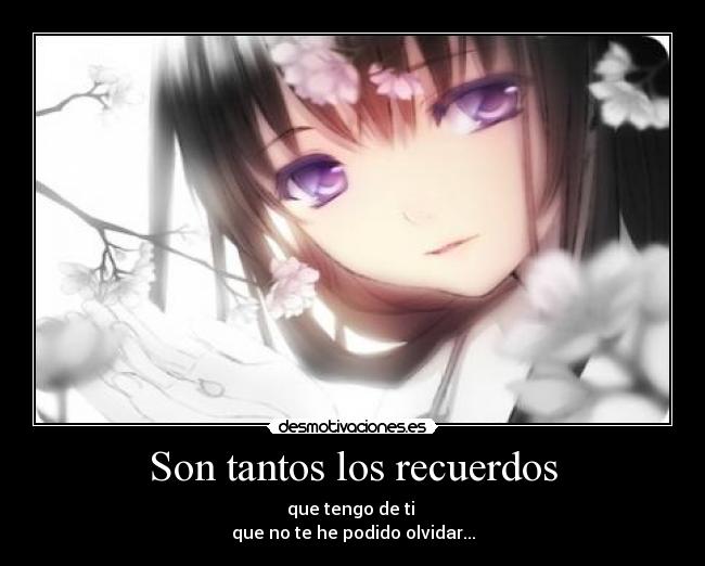 Son tantos los recuerdos - que tengo de ti 
que no te he podido olvidar...