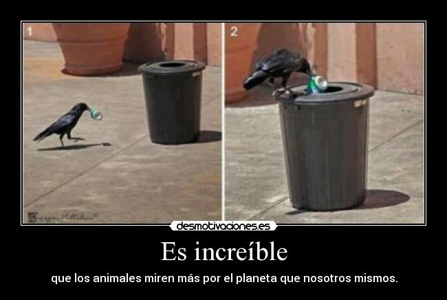 Es increíble - que los animales miren más por el planeta que nosotros mismos.