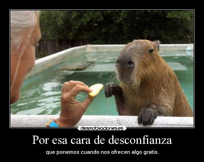 Por esa cara de desconfianza - 