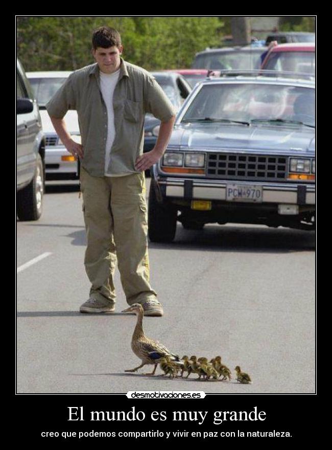 El mundo es muy grande - creo que podemos compartirlo y vivir en paz con la naturaleza.
