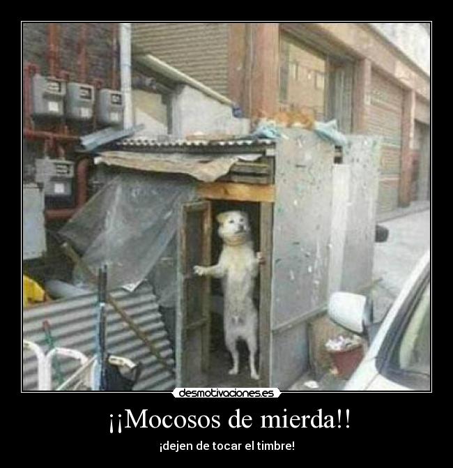 ¡¡Mocosos de mierda!! -