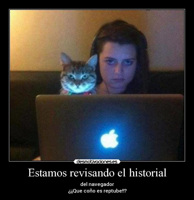 Estamos revisando el historial -