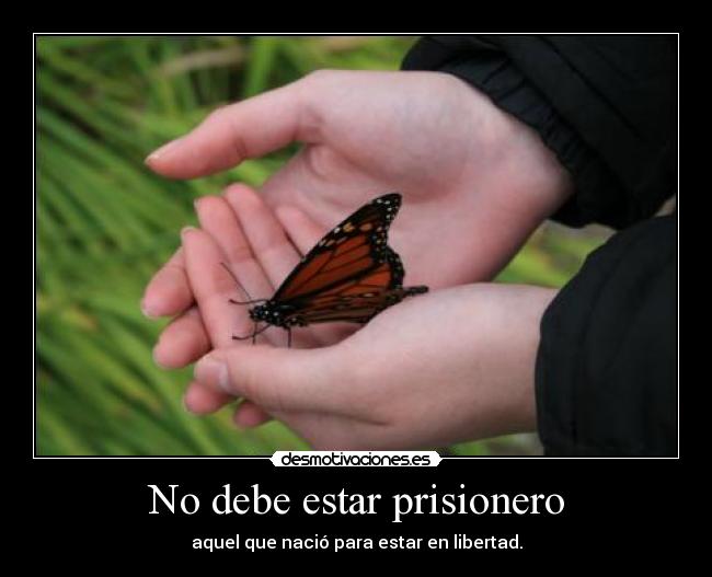 No debe estar prisionero - 