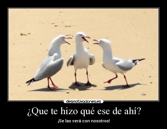 ¿Que te hizo qué ese de ahí? - ¡Se las verá con nosotros!