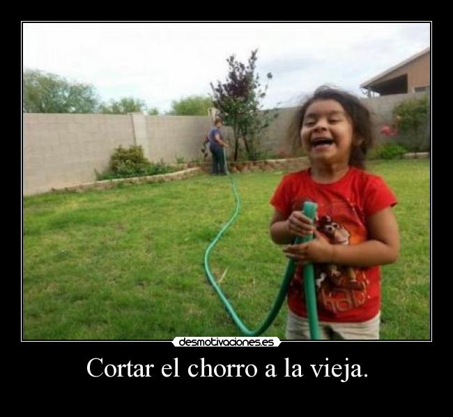 carteles viejita querida desmotivaciones