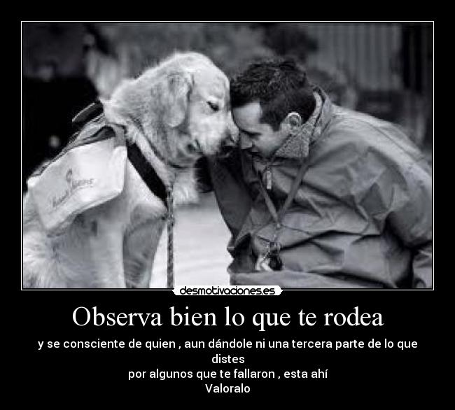 Observa bien lo que te rodea - y se consciente de quien , aun dándole ni una tercera parte de lo que distes
por algunos que te fallaron , esta ahí
Valoralo