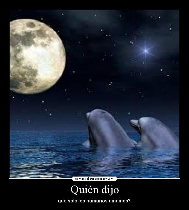 Quién dijo - que solo los humanos amamos?.