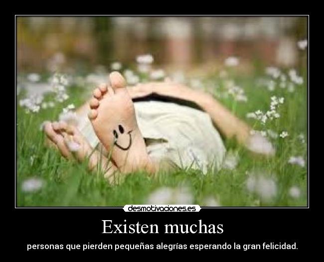 Existen muchas -