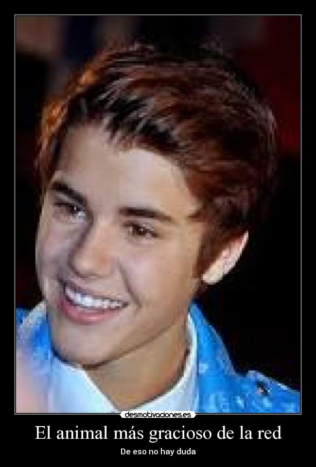 El animal más gracioso de la red - De eso no hay duda