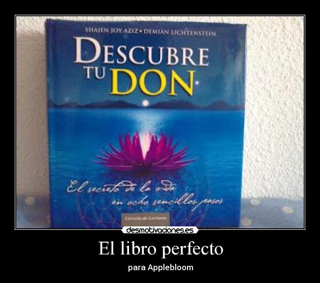 El libro perfecto - 