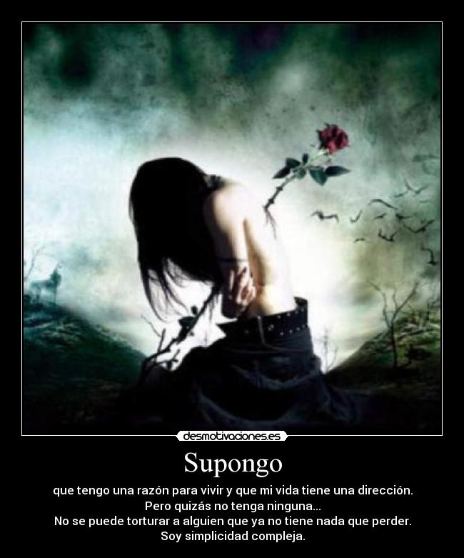 Supongo - que tengo una razón para vivir y que mi vida tiene una dirección.
Pero quizás no tenga ninguna...
No se puede torturar a alguien que ya no tiene nada que perder.
Soy simplicidad compleja.