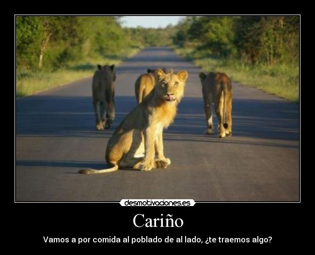 Cariño - 