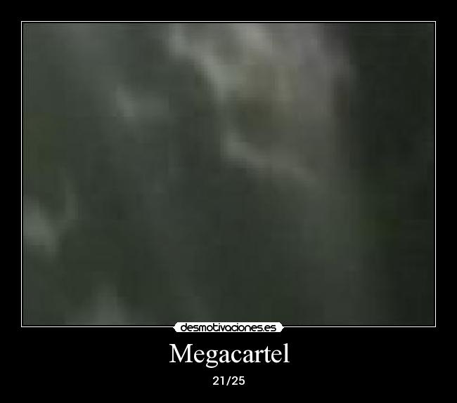 Megacartel - 21/25