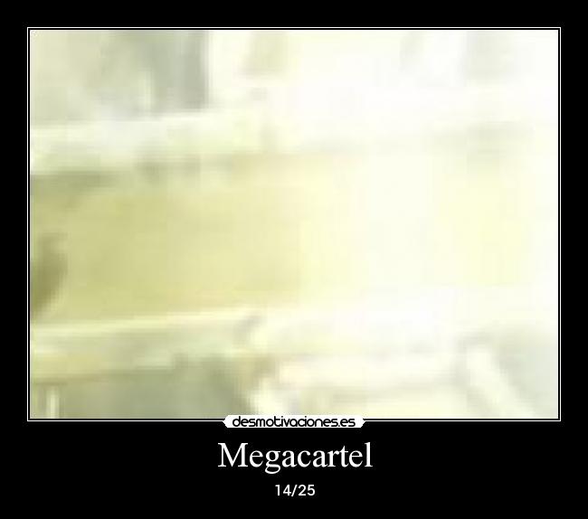 Megacartel - 14/25