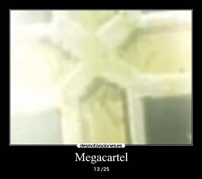 Megacartel - 13 /25