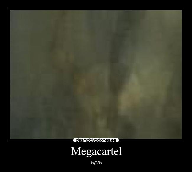 Megacartel - 5/25