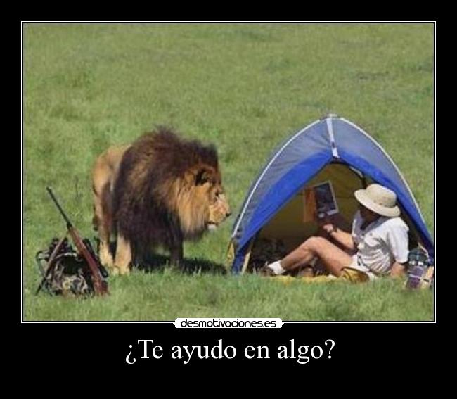 ¿Te ayudo en algo? -