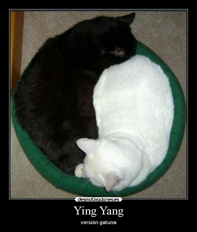 Ying Yang -