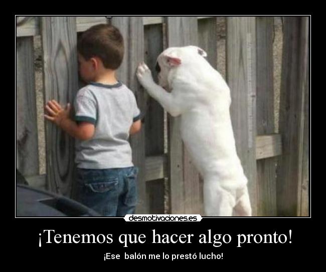 ¡Tenemos que hacer algo pronto! -