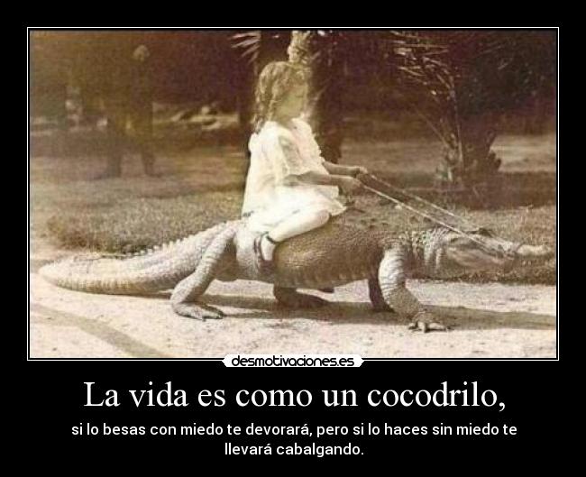 carteles vida que viene coco comera desmotivaciones